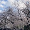 桜　溝の口　美容院