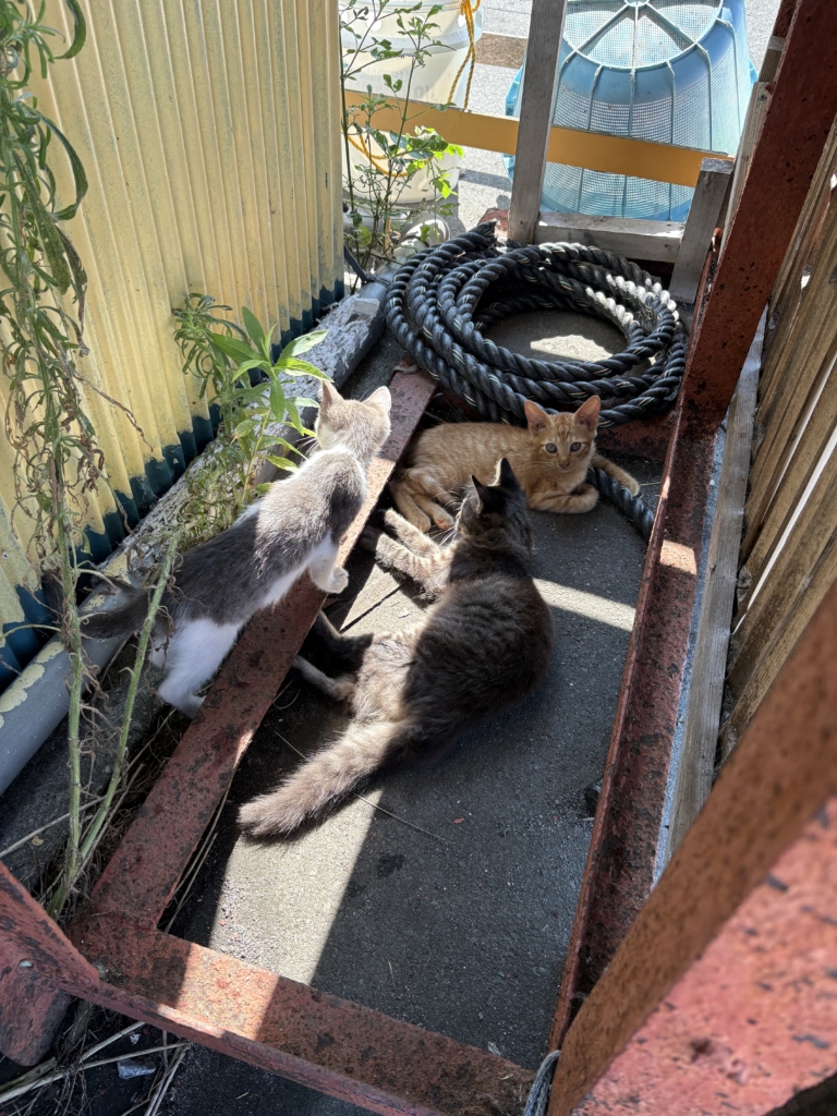 溝の口　美容院