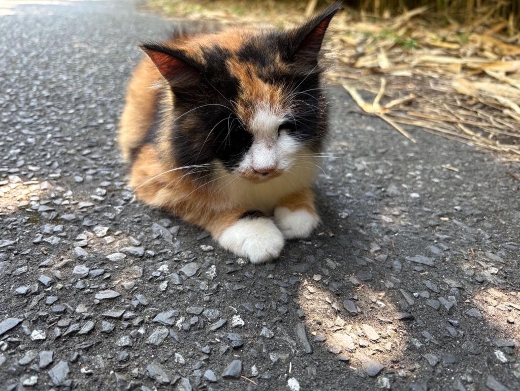 溝の口　美容院