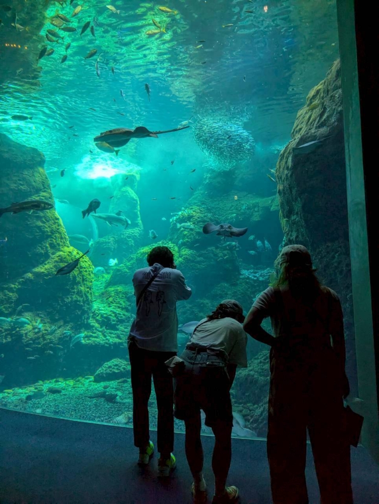 江ノ島水族館