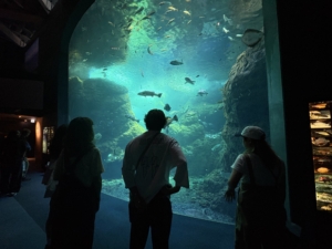 溝の口　美容院