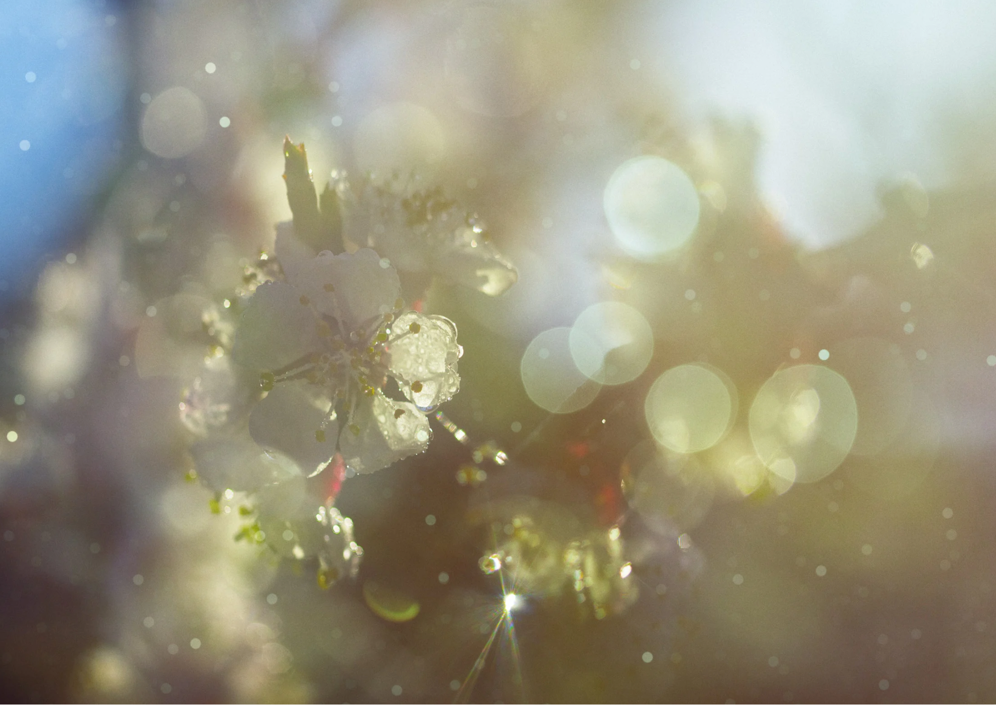 Thumbnail of post image 051